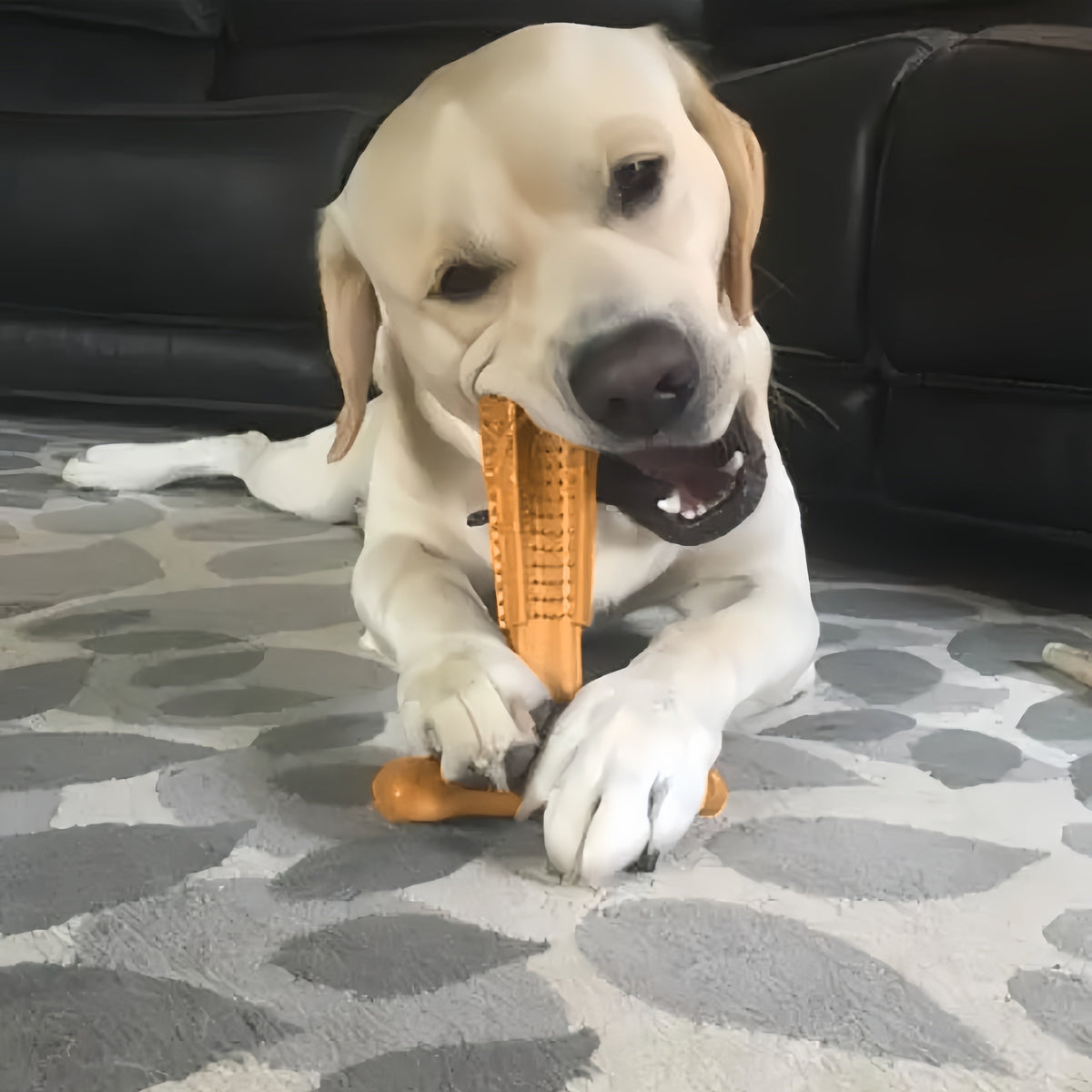 T-Shaped Dog Dental Chew Toy Durable Non-Splintering Plastic with Textured Ridges Ergonomic Grip for Aggressive Chewers Teething Puppies Adult Dogs Teeth Cleaning Plaque Removal
