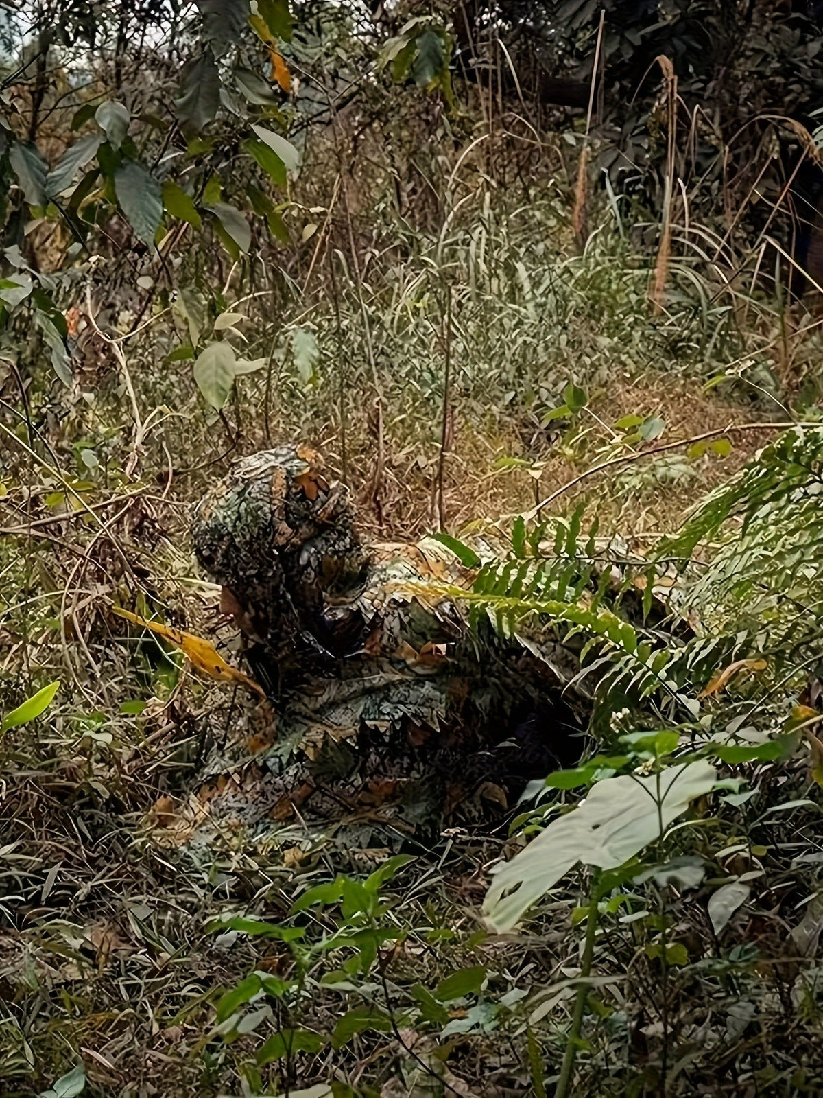 3D Maple Leaf Camouflage Ghillie Suit with Net Hood One Size Fits S-XL – Camo Hunting Suit for Deer Turkey Hunting Bird Watching Airsoft Paintball Survival Games Wildlife Photography Fern Green