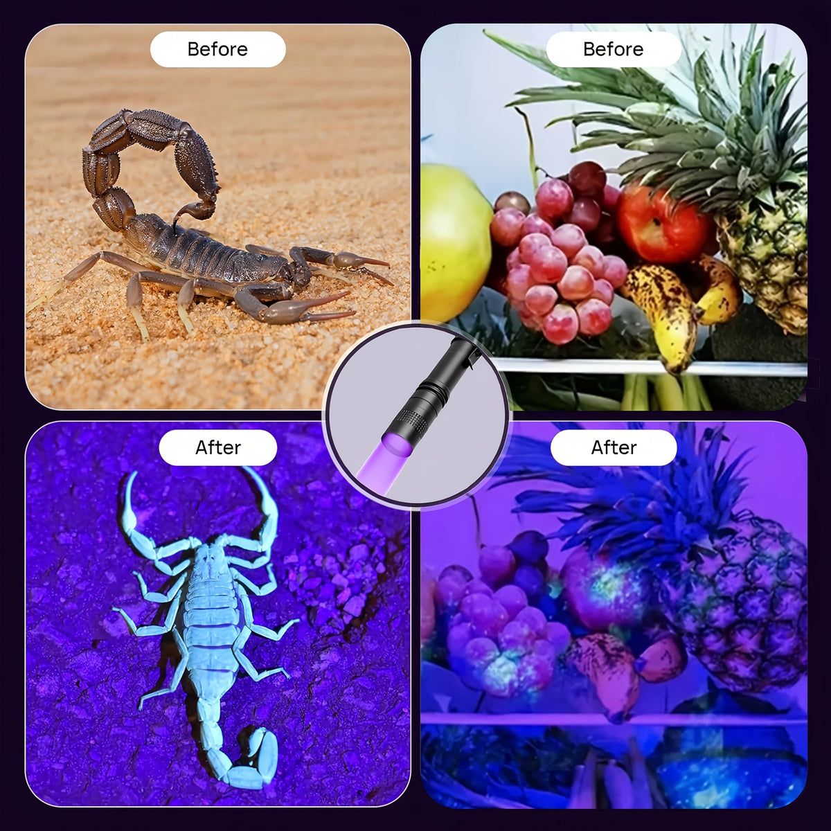 UV Blacklight Flashlight 395nm Portable Ultraviolet Light for Pet Urine Stain Detection Counterfeit Currency Scorpion Hunting Ringworm Inspection Multi-Pack 4 6 8 12pcs AAA Battery Powered