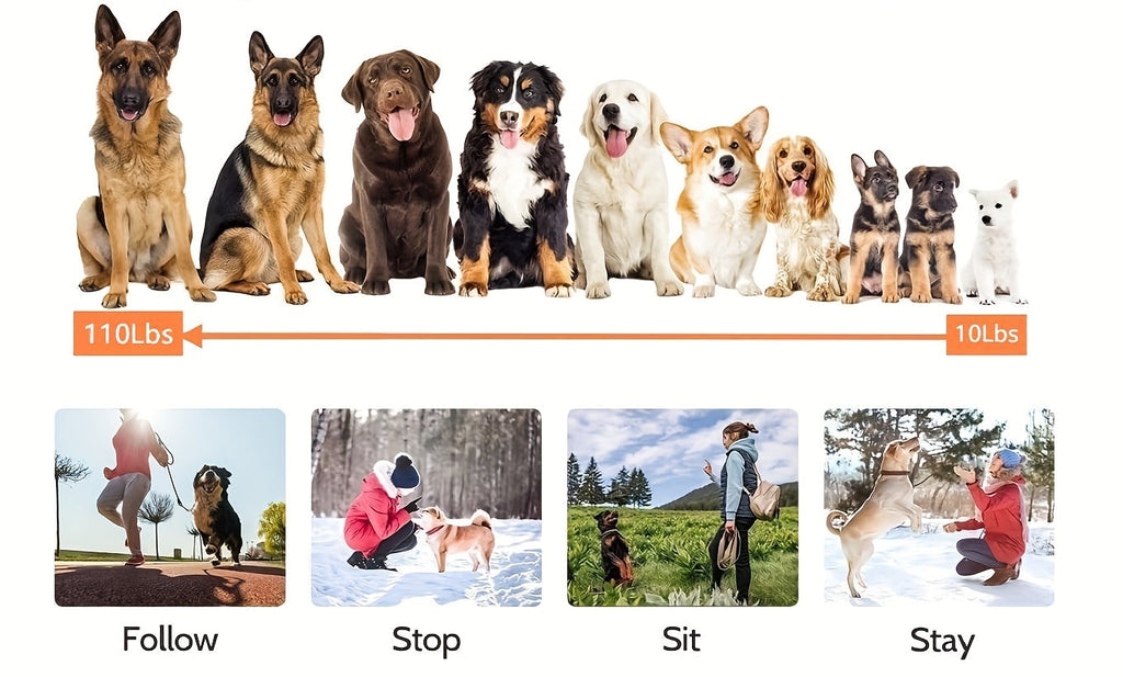 9-Level Remote Dog Training Collar Rechargeable E-Collar Shock Vibration Tone 500M Range Adjustable for Small Medium Large Dogs Safe Bark Control